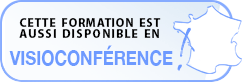 Formation en visiocoférence !